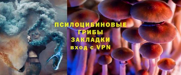 стаф Верхний Тагил